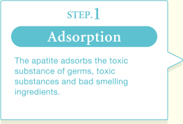 STEP.1 Adsorption The apatite adsorbs the toxic substance of germs, toxic substances and bad smelling ingredients.
